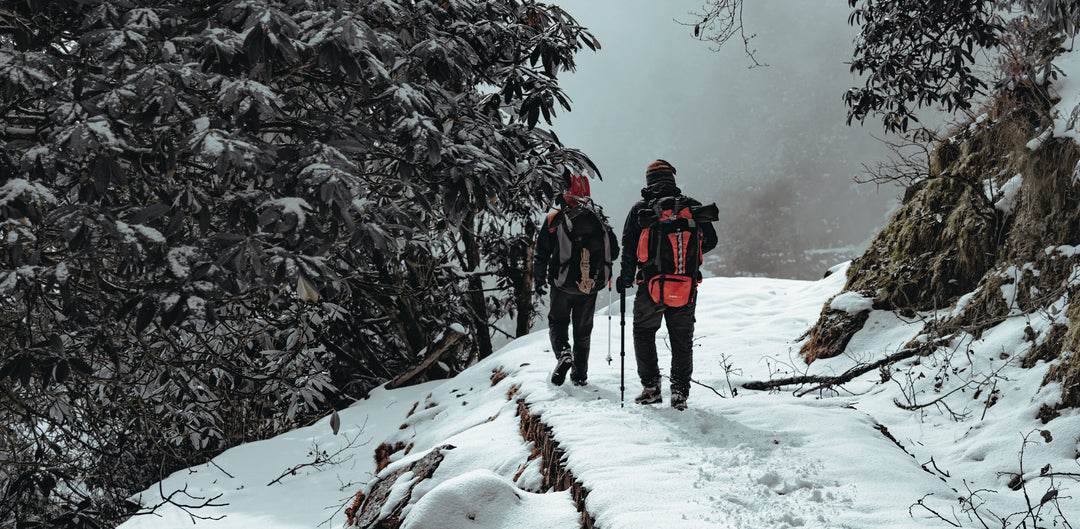hiking insoles