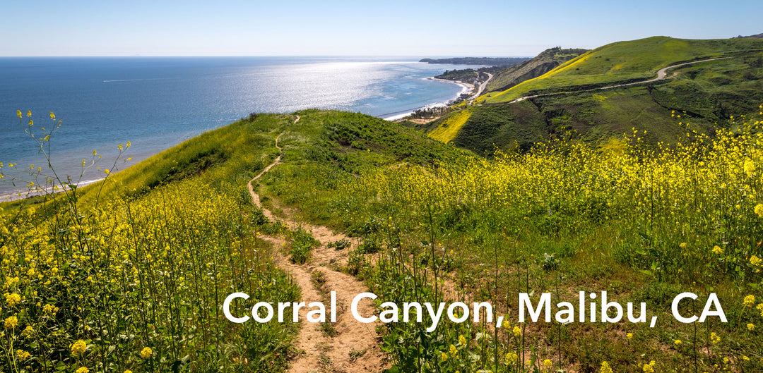PowerStep Blog: 5 Best Walking Trails on the West Coast